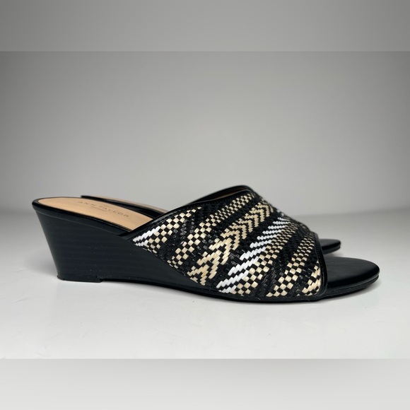 Ann Taylor Factory Woven Wedge Open Toe Sandal Size 6 1/2 - Picture 1 of 7